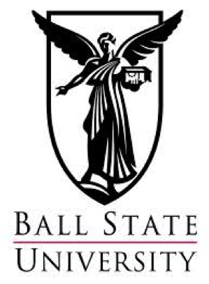 bsu